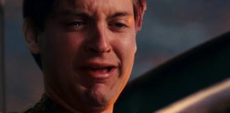 spiderman 4
