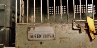 crisis on infinite earths gleek explication