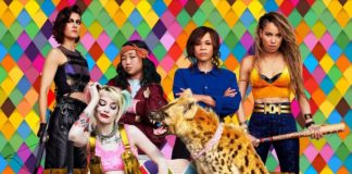 birds of prey explication personnages