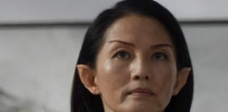 star trek picard commodore