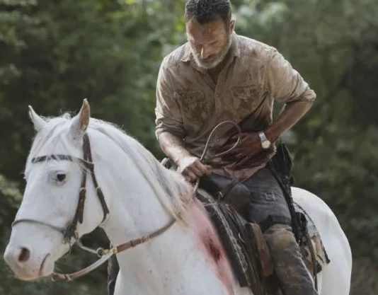 the walking dead saison 9 ou est rick