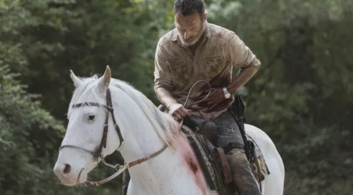 The Walking Dead Saison 9 : Où est Rick ? Que lui est il arrivé ? | Ayther