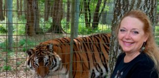 tiger king carole baskin