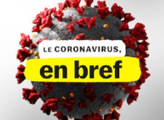 coronavirus en bref netflix explication