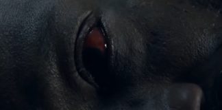 fear the walking dead saison 6 sortie