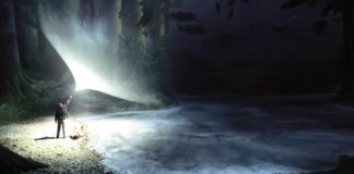 harry potter patronus