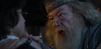 harry potter coupe de feu dumbledore
