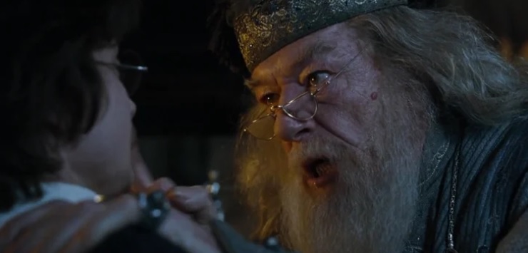 harry potter coupe de feu dumbledore