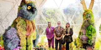 la grande bataille des fleurs saison 2
