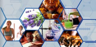 l industrie du bien etre potions et poisons saison 2 netflix