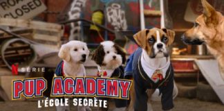 pup academy saison 3 netflix