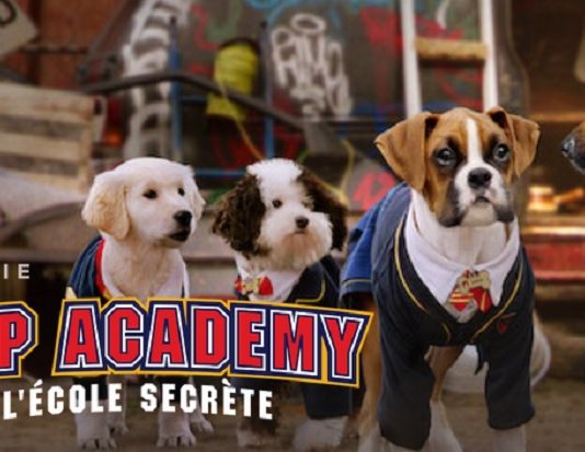 pup academy saison 3 netflix