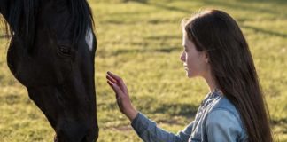 ou est filme black beauty