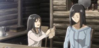 mikasa levy