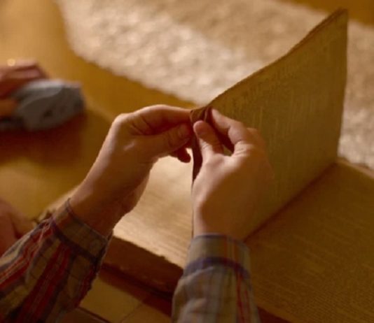 la lettre de la salamandre