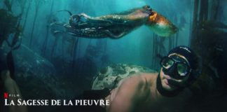 la sagesse de la pieuvre lieux de tournage
