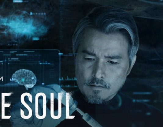 the soul fin netflix