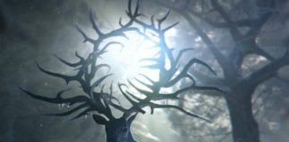 shadow and bone amplificateurs
