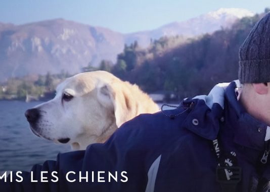 nos amis les chiens saison 2