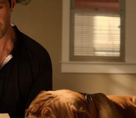turner & hooch episode 4