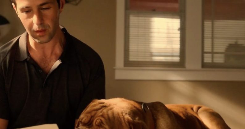 Bad Boy 4 Date De Sortie En France Turner & Hooch Épisode 4 : Quelle date et heure de sortie Disney Plus