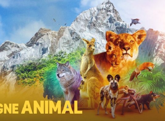 le regne animal saison 2