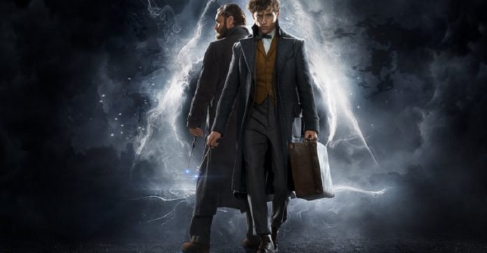 Les Animaux Fantastiques : Quelle date de sortie sur Netflix ? Streaming