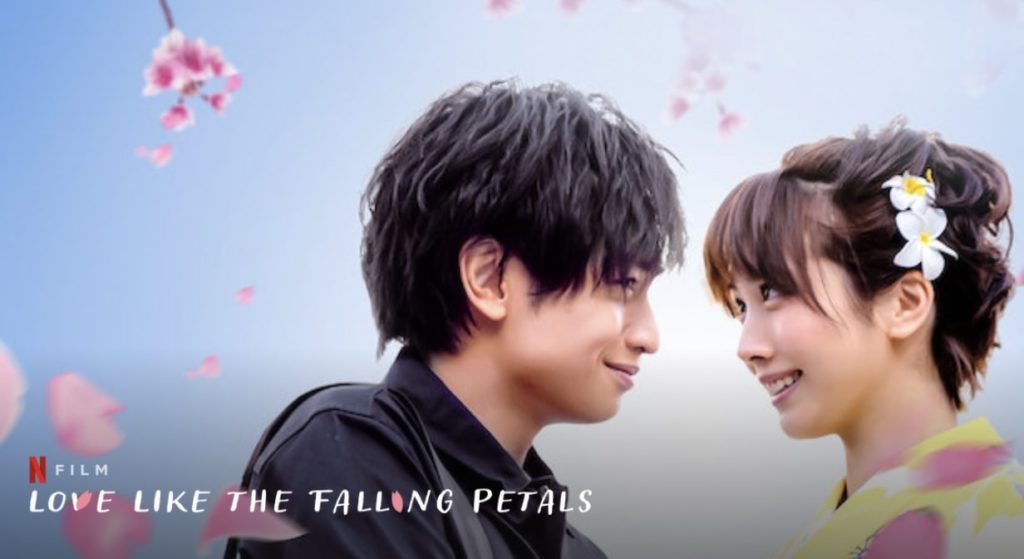 love like the falling petals fin