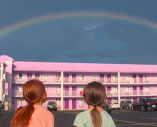 the florida project fin