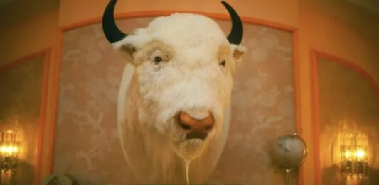 bison blanc umbrella academy