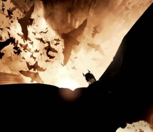 batman begins fin