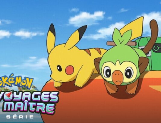 pokemon les voyages dun maitre partie 3