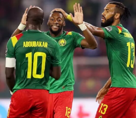cameroun serbie streaming