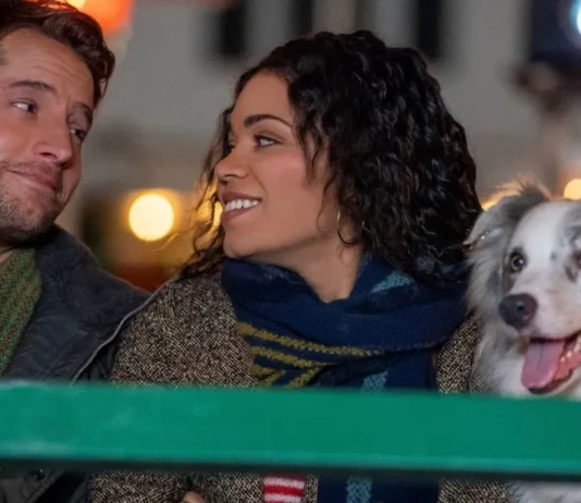 ou a ete filme the noel diary