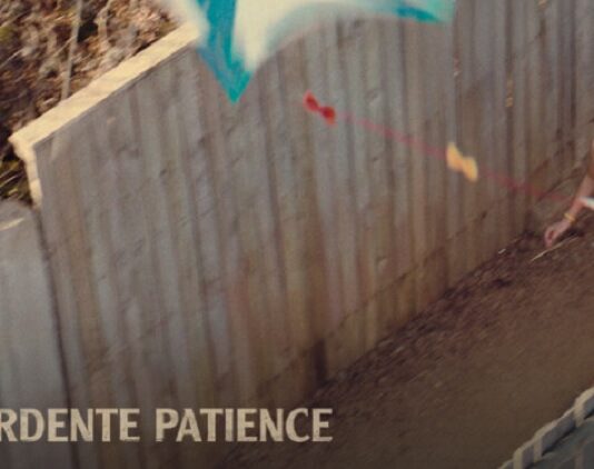 une ardente patience 2 netflix