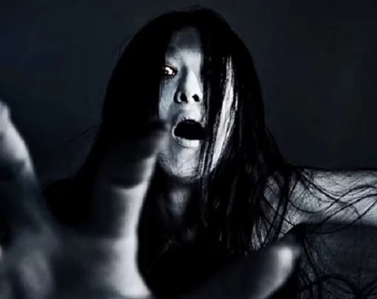 the grudge histoire vraie