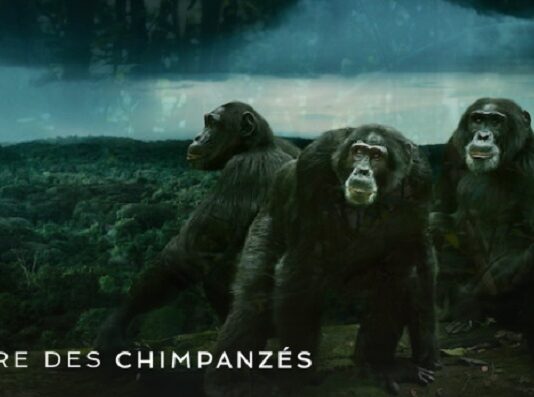 lempire des chimpanzes saison 2 netflix