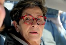 viviane lambert aujourdhui