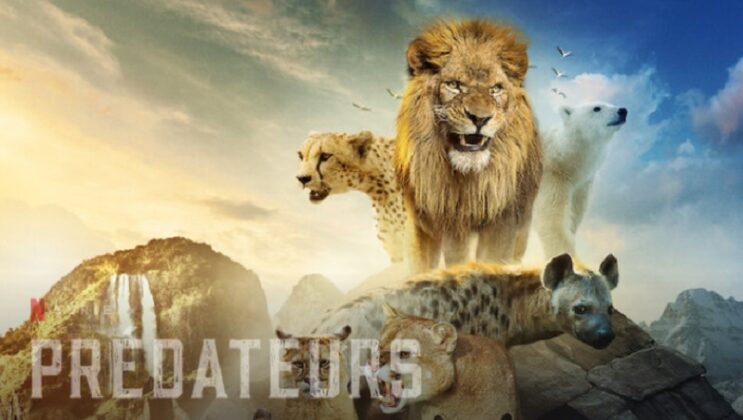 Prédateurs Saison 1 : Quelle date et heure de sortie Netflix ? | Ayther