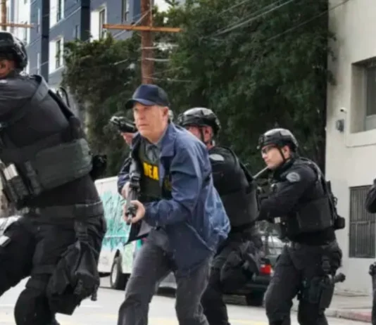 swat saison 6 fin