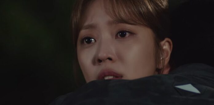 Distribution De Le Livre De Notre Destin ayther.fr