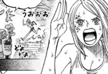 one piece 1100 spoilers