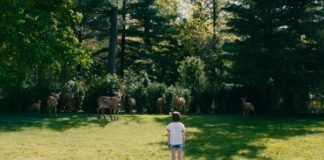 cerf le monde apres nous