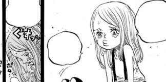 one piece 1102 spoilers
