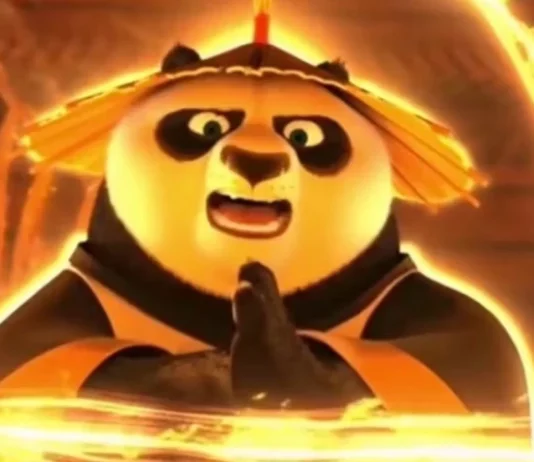 kung fu panda 3 fin