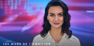 les ailes de lambition saison 4 netflix