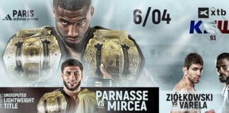 salahdine parnasse mircea streaming
