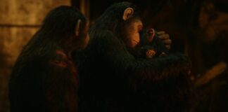 la planete des singes 2 laffrontement fin