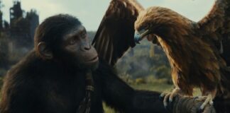 la planete des singes 4 le nouveau royaume disney