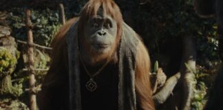 la planete des singes 4 le nouveau royaume streaming